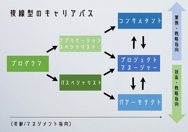 複線型のキャリアパス