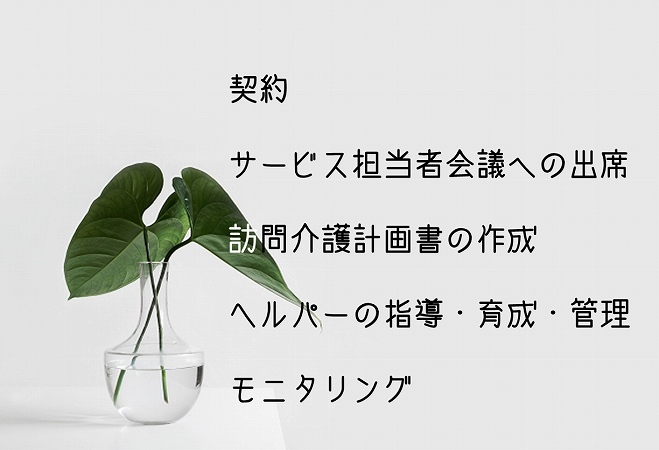 契約サービス担当者会議への出席訪問介護計画書の作成ヘルパーの指導・育成・管理モニタリング