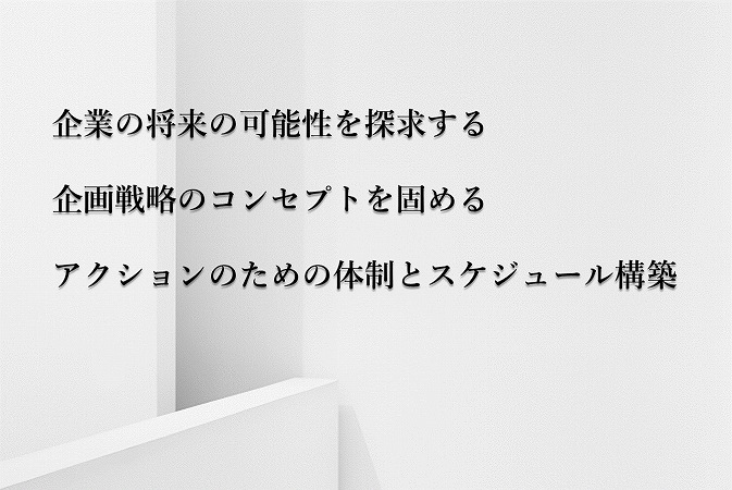 企業の将来の可能性を探求する企画戦略のコンセプトを固めるアクションのための体制とスケジュール構築