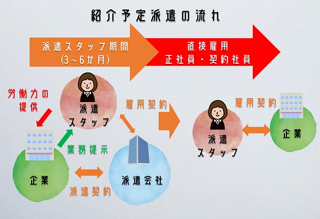 紹介予定派遣の流れ