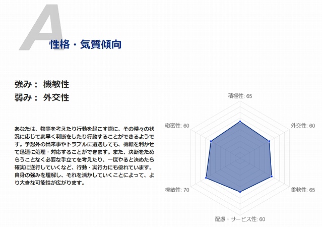 キャリアタイプ診断の「パーソナリティ診断」結果(一部抜粋)