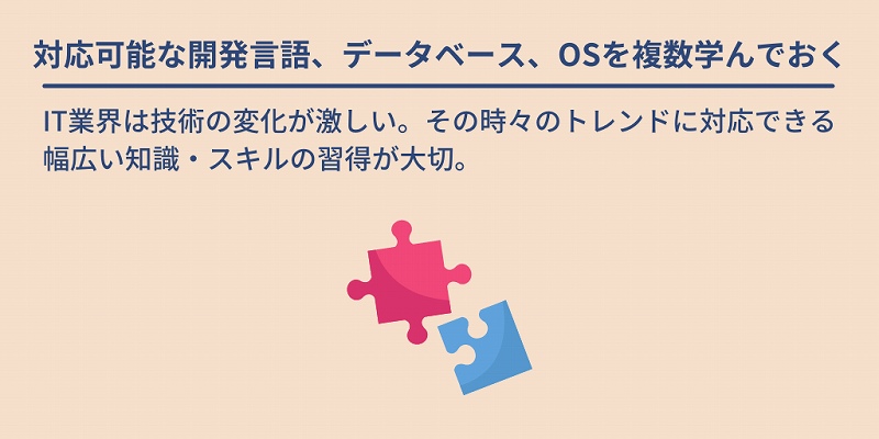 対応可能な開発言語、データベース、OSを複数学んでおく:IT業界は技術の変化が激しい。その時々のトレンドに対応できる幅広い知識・スキルの習得が大切。