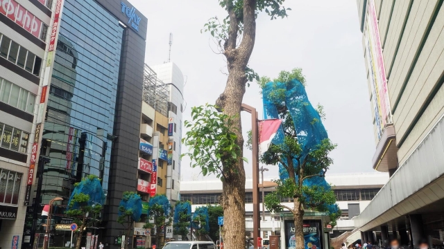 埼玉県大宮市