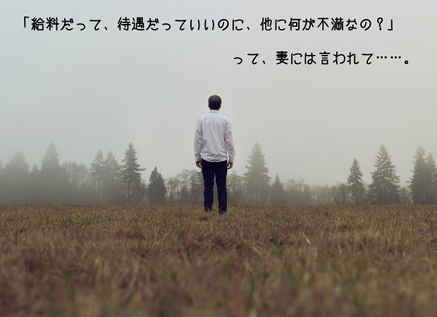 「給料だって、待遇だっていいのに、他に何が不満なの?」って、妻には言われて……。