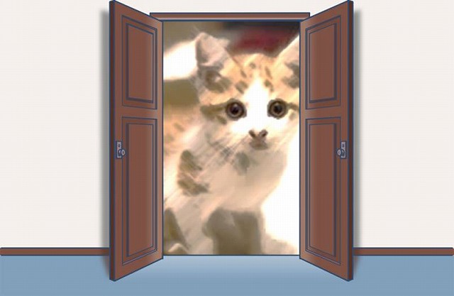 転職前は、「仕事と猫」が生活のすべてでした。