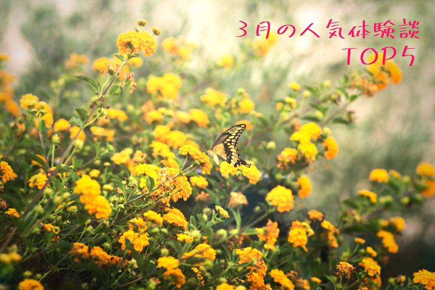 2021年3月の人気体験談TOP5