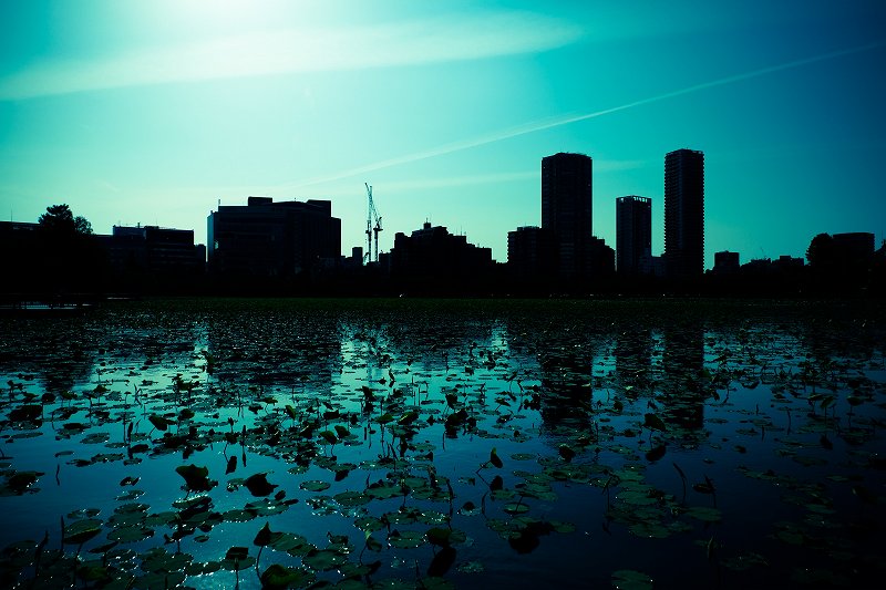 企業が少ないイメージ